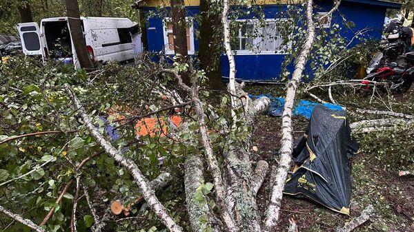 Падение деревьев на территории базы отдыха в Тарусском районе Калужской области 