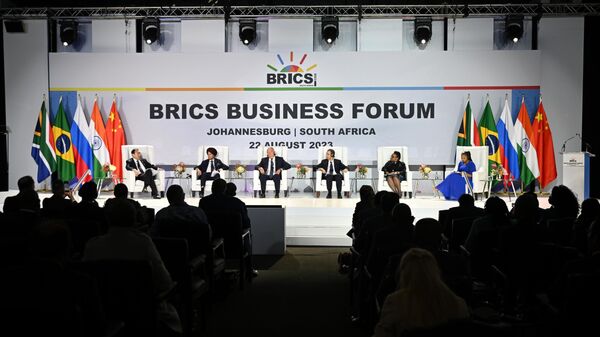 Бизнес-форуме БРИКС в ЮАР