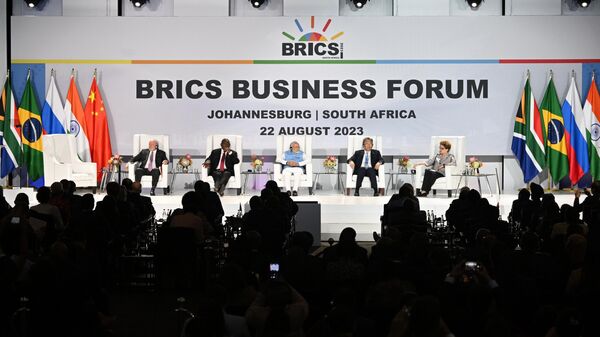 Участники бизнес-форума саммита БРИКС в ЮАР