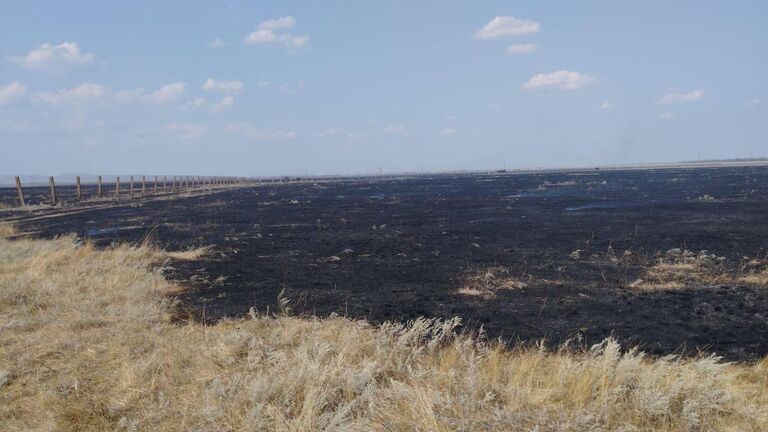 Последствия попадания ракеты на территорию Большого Чапельского пода ГАУ Биосферный заповедник Аскания-Нова в Херсонской области