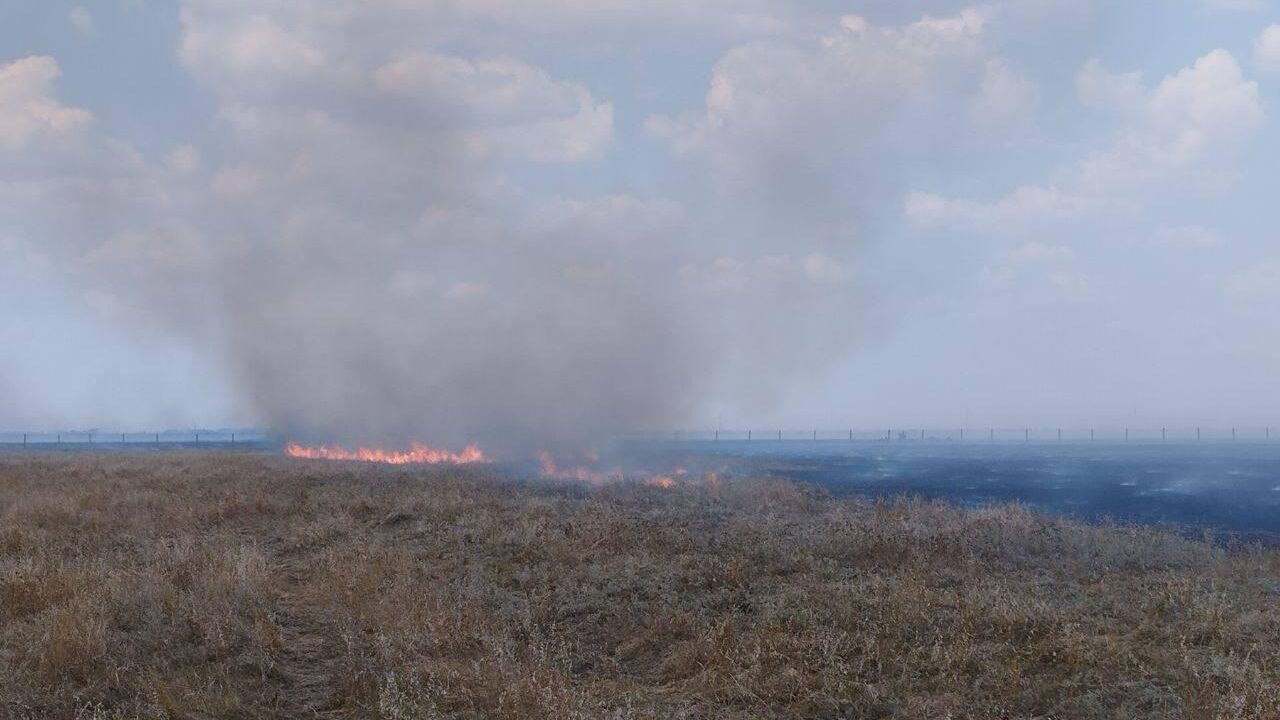 Последствия попадания ракеты на территорию Большого Чапельского пода ГАУ Биосферный заповедник Аскания-Нова в Херсонской области - РИА Новости, 1920, 23.08.2023