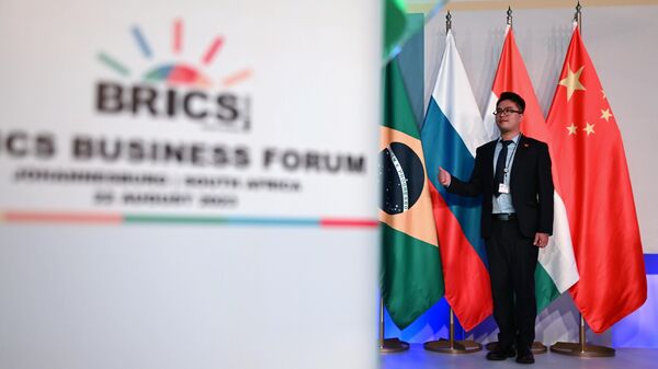 Участник бизнес-форума фотографируется у флагов стран-участниц БРИКС в Йоханнесбурге