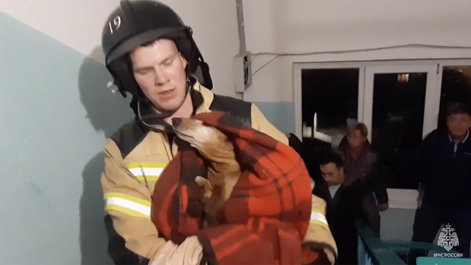 Пожарный МЧС спасает собаку во время пожара в Ижевске. Кадр видео  - РИА Новости, 1920, 26.08.2023