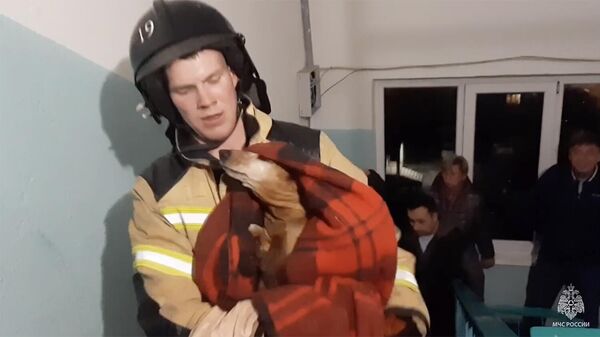 Пожарный МЧС спасает собаку во время пожара в Ижевске. Кадр видео 