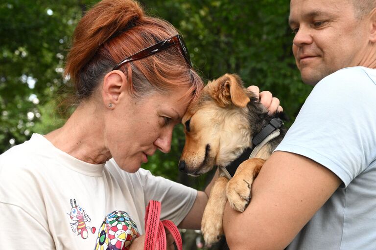 Женщина гладит собаку на выставке-пристройстве животных в рамках Московского урбанистического форума - 2023