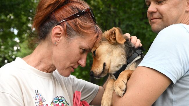 Женщина гладит собаку на выставке-пристройстве животных