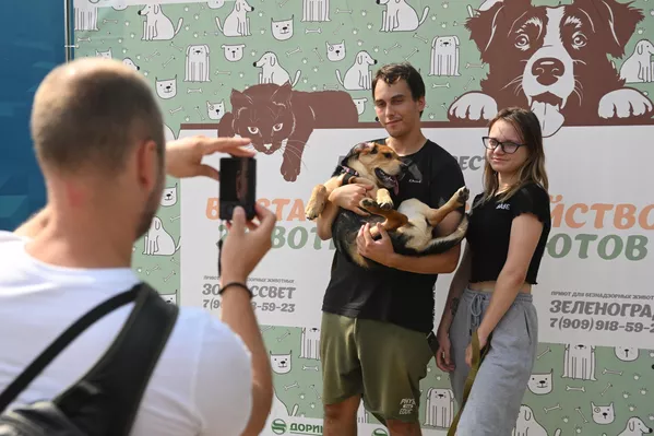 Люди фотографируются с собакой на выставке-пристройстве животных в рамках Московского урбанистического форума - 2023