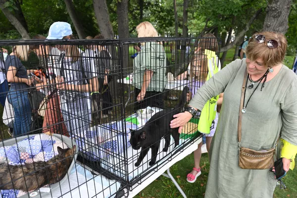 Женщина гладит кошку на выставке-пристройстве животных в рамках Московского урбанистического форума - 2023
