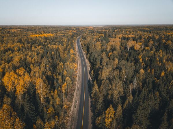 Дорога в Ивановской области