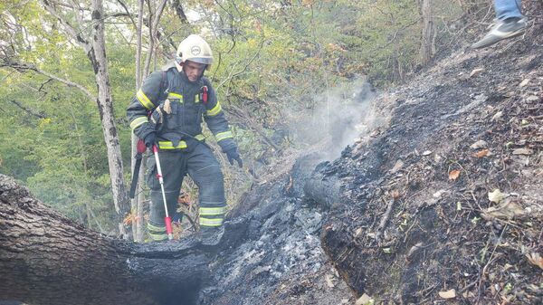 Пожарный во время тушения лесного пожара в Геленджике