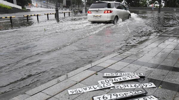 Номерные знаки, утерянные из-за сильного ливня во Владивостоке