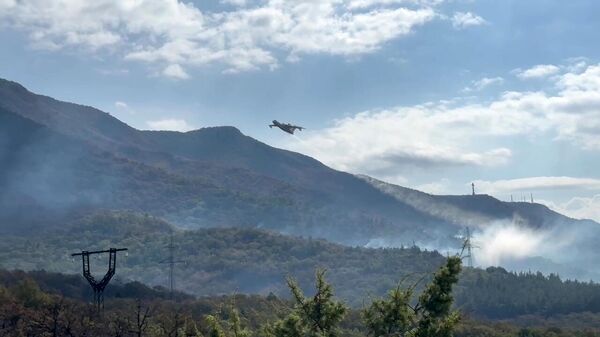 Самолет сбрасывает воду на месте тушения лесного пожара в Геленджике
