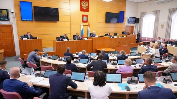 Самарские депутаты утвердили поправки в областной бюджет