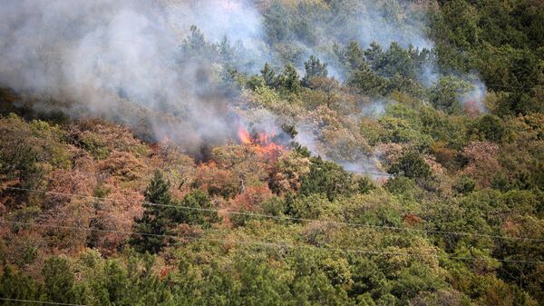 Лесной пожар в Геленджике