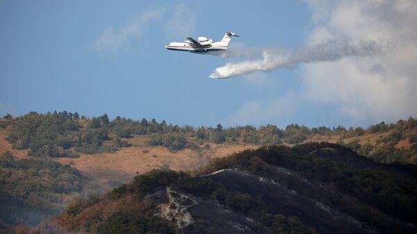 Самолет-амфибия Бе-200 сбрасывает воду на месте тушения лесного пожара в Геленджике