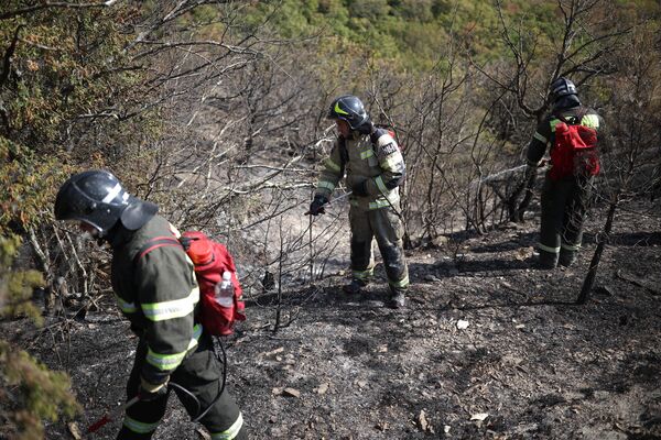 Пожарные работают на месте тушения лесного пожара в Геленджик
