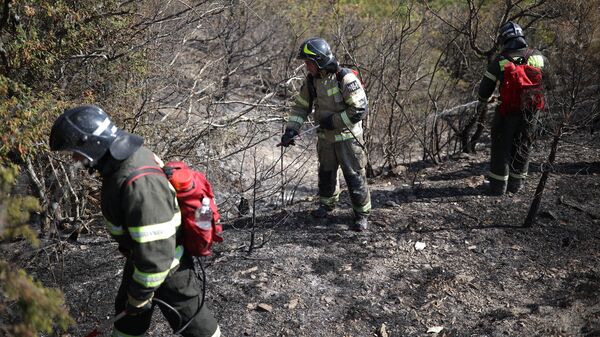 Пожарные работают на месте тушения лесного пожара в Краснодарском крае