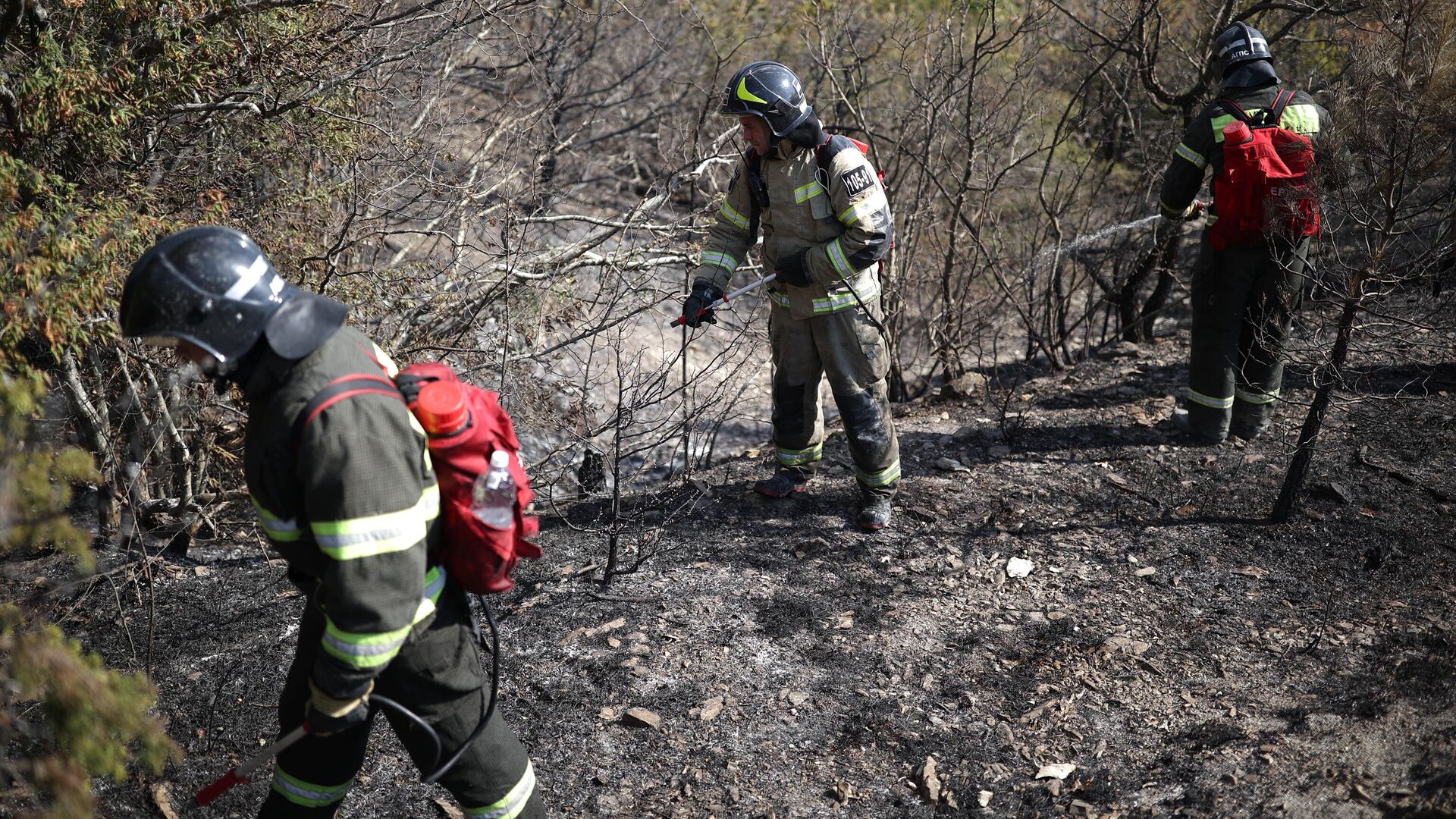 Пожарные работают на месте тушения лесного пожара в Краснодарском крае - РИА Новости, 1920, 03.12.2023