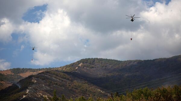 Пожарные вертолеты в районе тушения лесного пожара в Геленджике