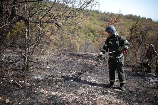 Пожарные работают на месте тушения лесного пожара в Геленджике