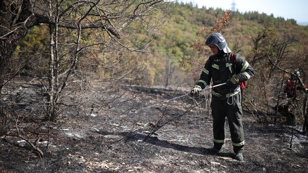 Пожарные работают на месте тушения лесного пожара 
