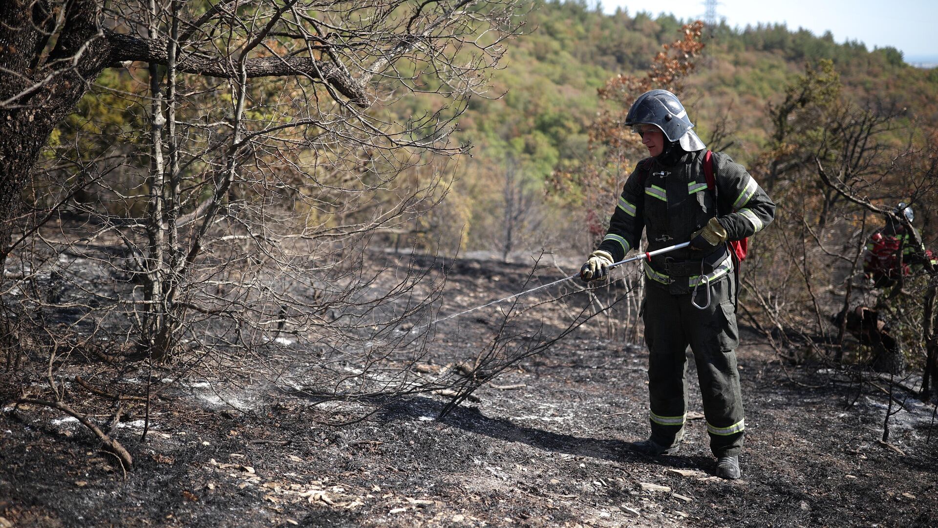 Пожарные работают на месте тушения лесного пожара - РИА Новости, 1920, 01.07.2024