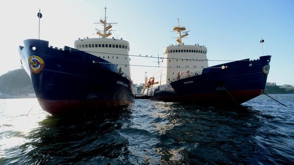 Ледоколы российской транспортной компании FESCO Красин и Адмирал Макаров во Владивостоке. Архивное фото