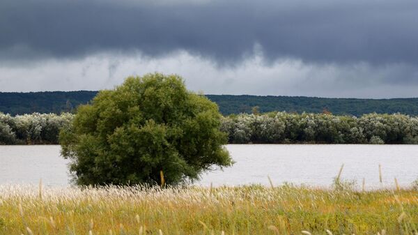 Река Амур на острове Большой Уссурийский в Хабаровском крае