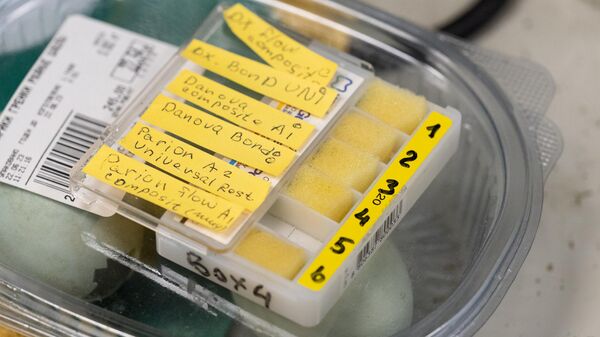 Анализ образцов материала для ресторативной стоматологии на основе яичной скорлупы