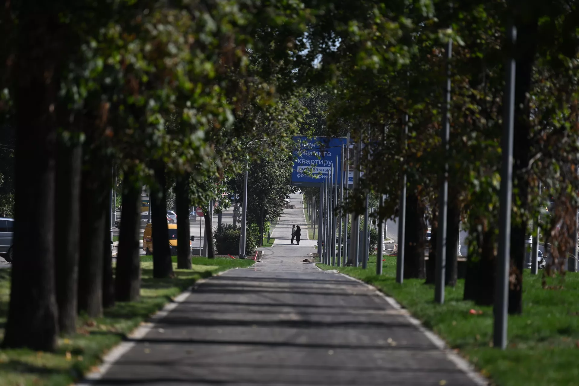 Панорама бульвара вдоль Ленинского проспекта Панорама бульвара вдоль Ленинского проспекта - РИА Новости, 1920, 01.09.2023