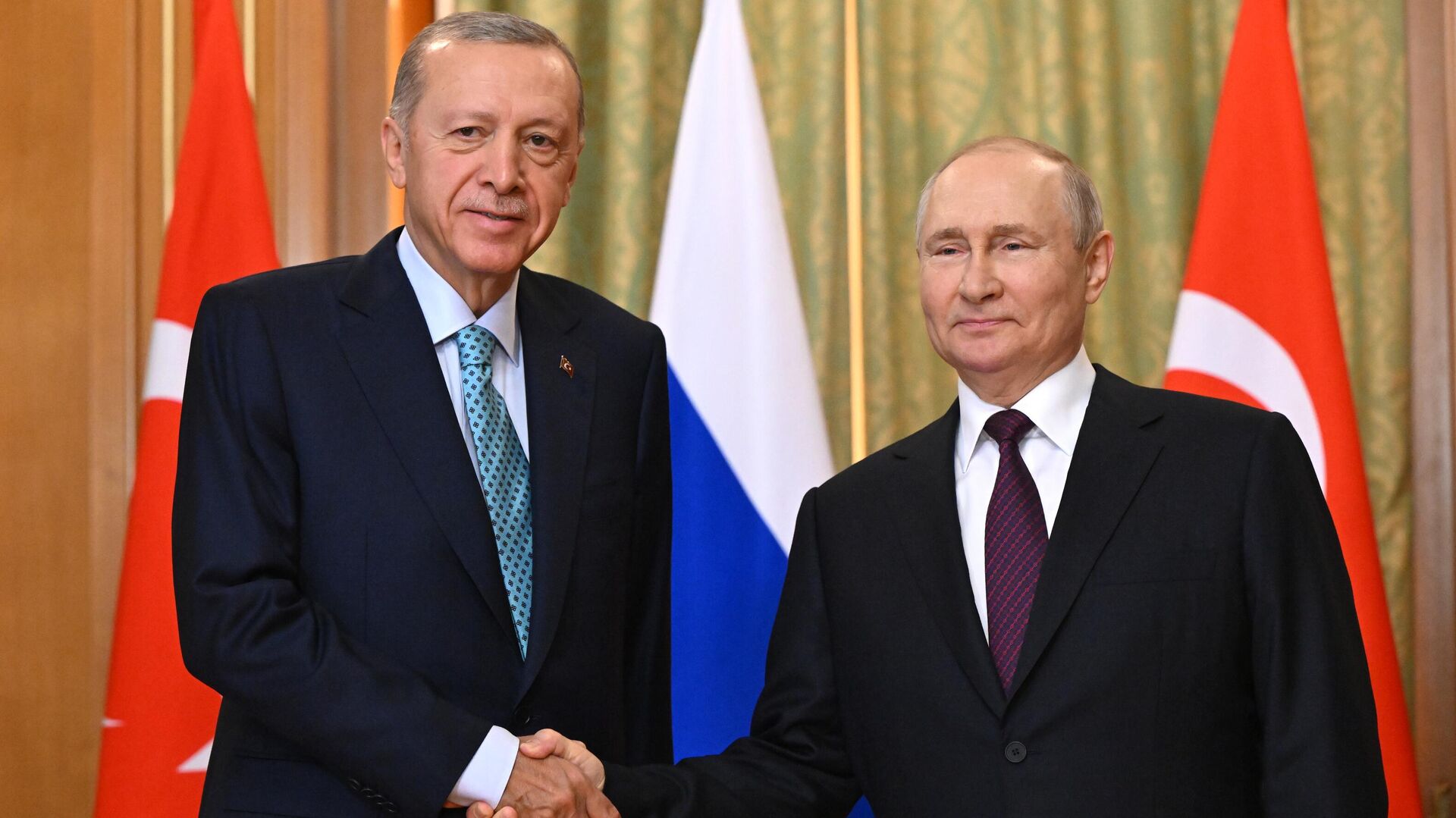 Владимир Путин и президент Турции Реджеп Тайип Эрдоган во время встречи - РИА Новости, 1920, 05.09.2023