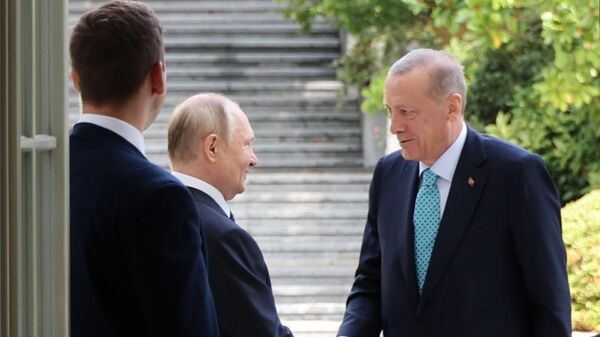 Президент РФ Владимир Путин и президент Турецкой Республики Реджеп Тайип Эрдоган во время встречи в Сочи