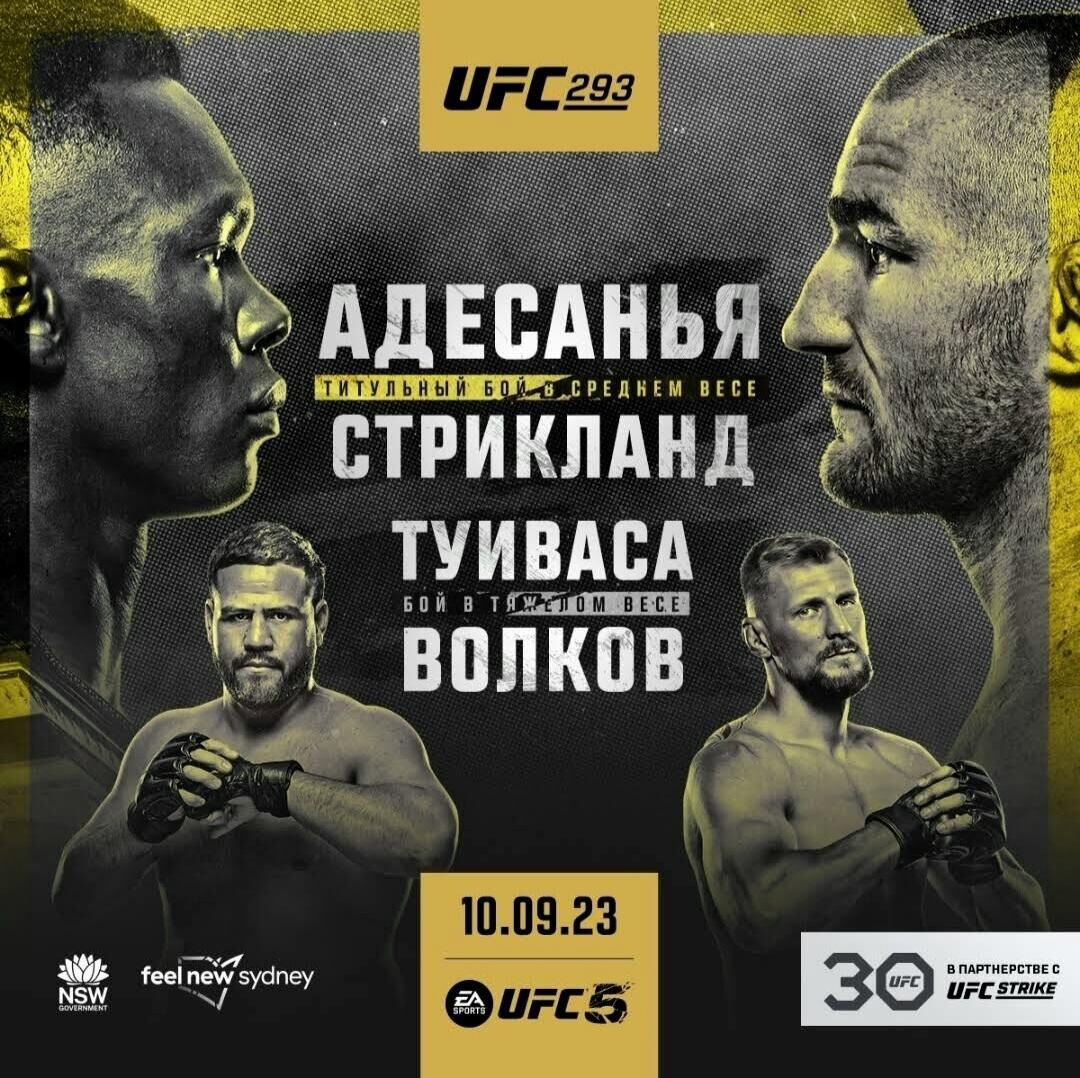 Постер UFC 293 - РИА Новости, 1920, 09.09.2023