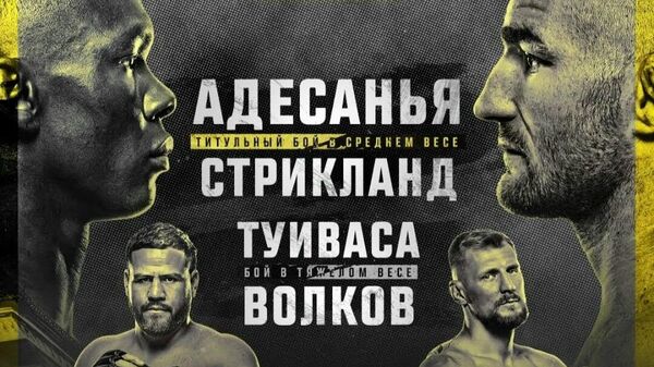 Постер UFC 293