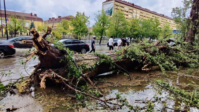 Последствия сильного ветра в Грозном