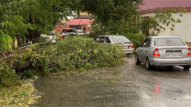 Последствия сильного ветра в Грозном