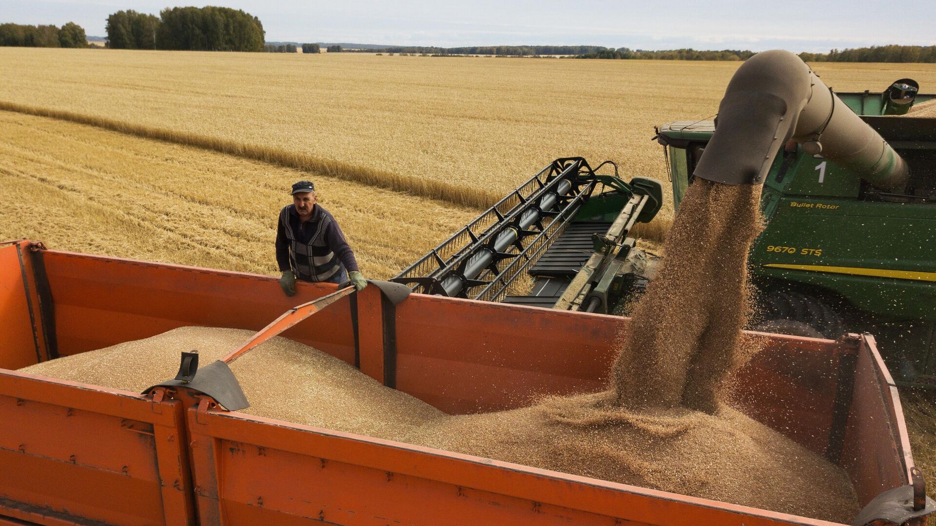 The head of the Ministry of Agriculture spoke about the planned grain export volumes