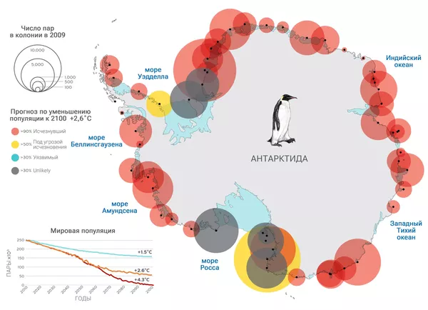 Карта популяции пингвинов