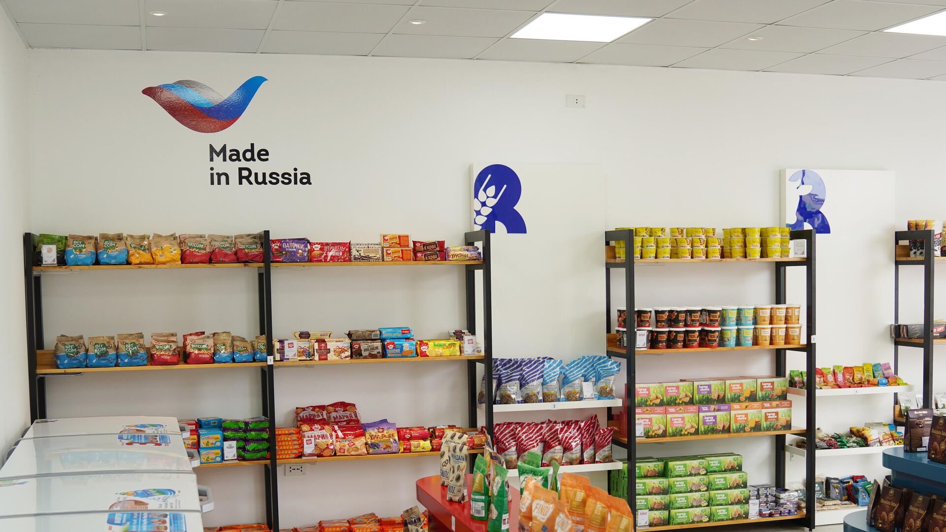 В павильонах Good Food Russia появятся протеиновые батончики и соль - РИА  Новости, 07.09.2023