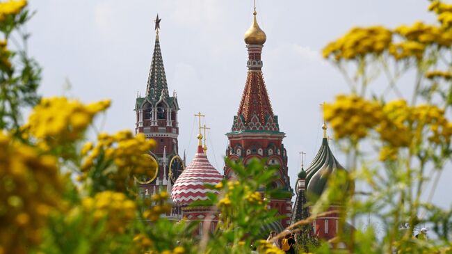 Вид из парка Зарядье на Спасскую башню Московского кремля 