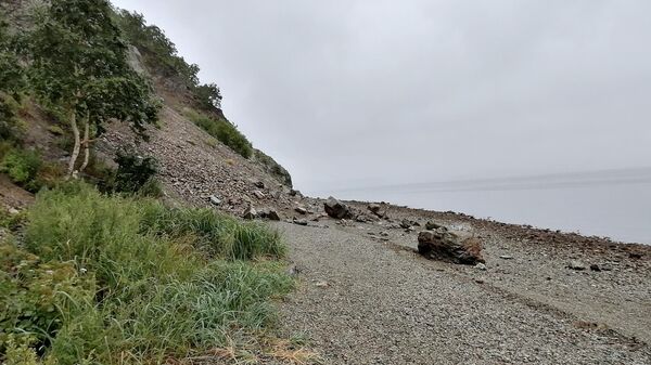 На побережье Авачинской бухты в Петропавловске-Камчатском На побережье Авачинской бухты в Петропавловске-Камчатском