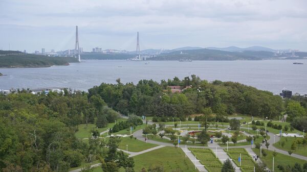 Вид из кампуса ДВФУ, где проходит Восточный экономический форум во Владивостоке