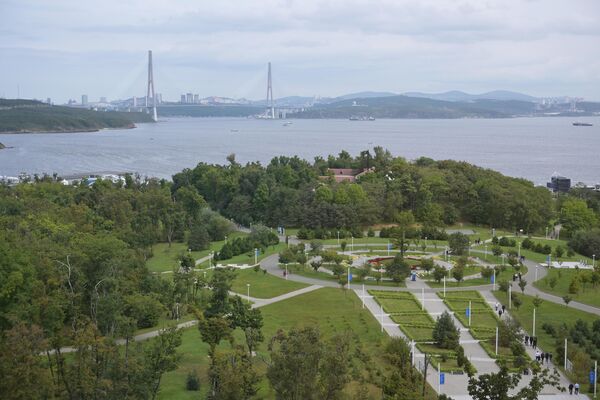 Вид из кампуса ДВФУ, где проходит Восточный экономический форум во Владивостоке