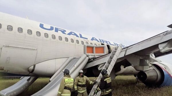 На месте аварийной посадки самолета в поле под Новосибирском