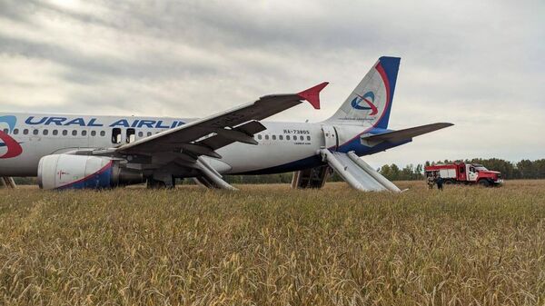 Самолет, совершивший аварийную посадку на грунт в Новосибирской области