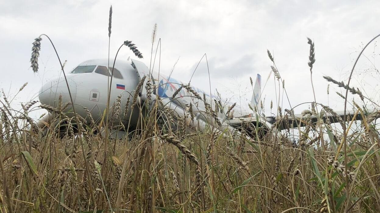 Самолет, совершивший аварийную посадку  недалеко от Новосибирска в поле - РИА Новости, 1920, 12.09.2023