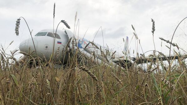 Самолет, совершивший аварийную посадку  недалеко от Новосибирска в поле