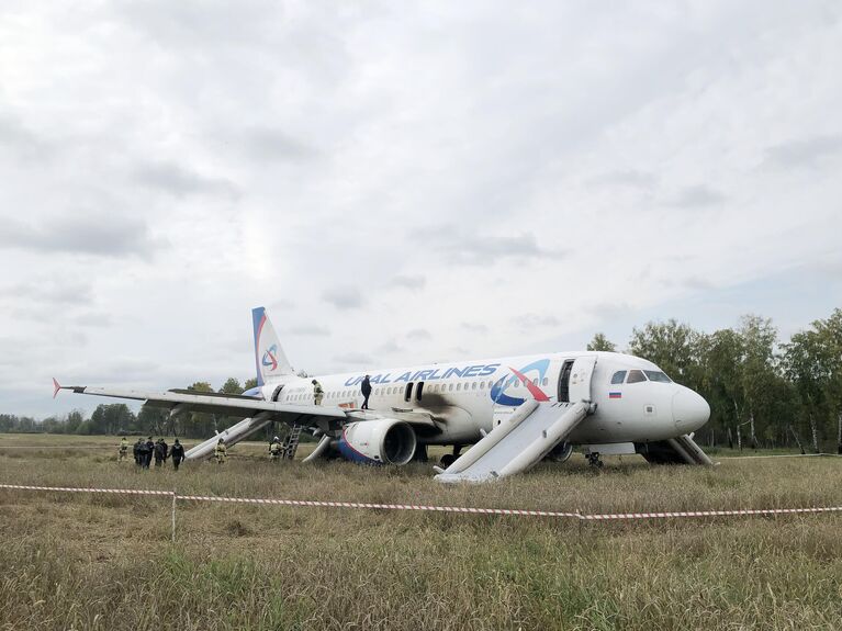 Самолет авиакомпании Уральские авиалинии, совершивший аварийную посадку на грунт в Новосибирской области