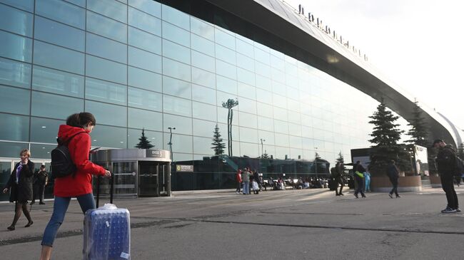 Пассажиры возле аэропорта Домодедово