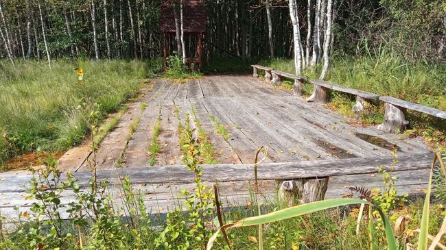 Колодец и место отдыха на Сусанинском болоте